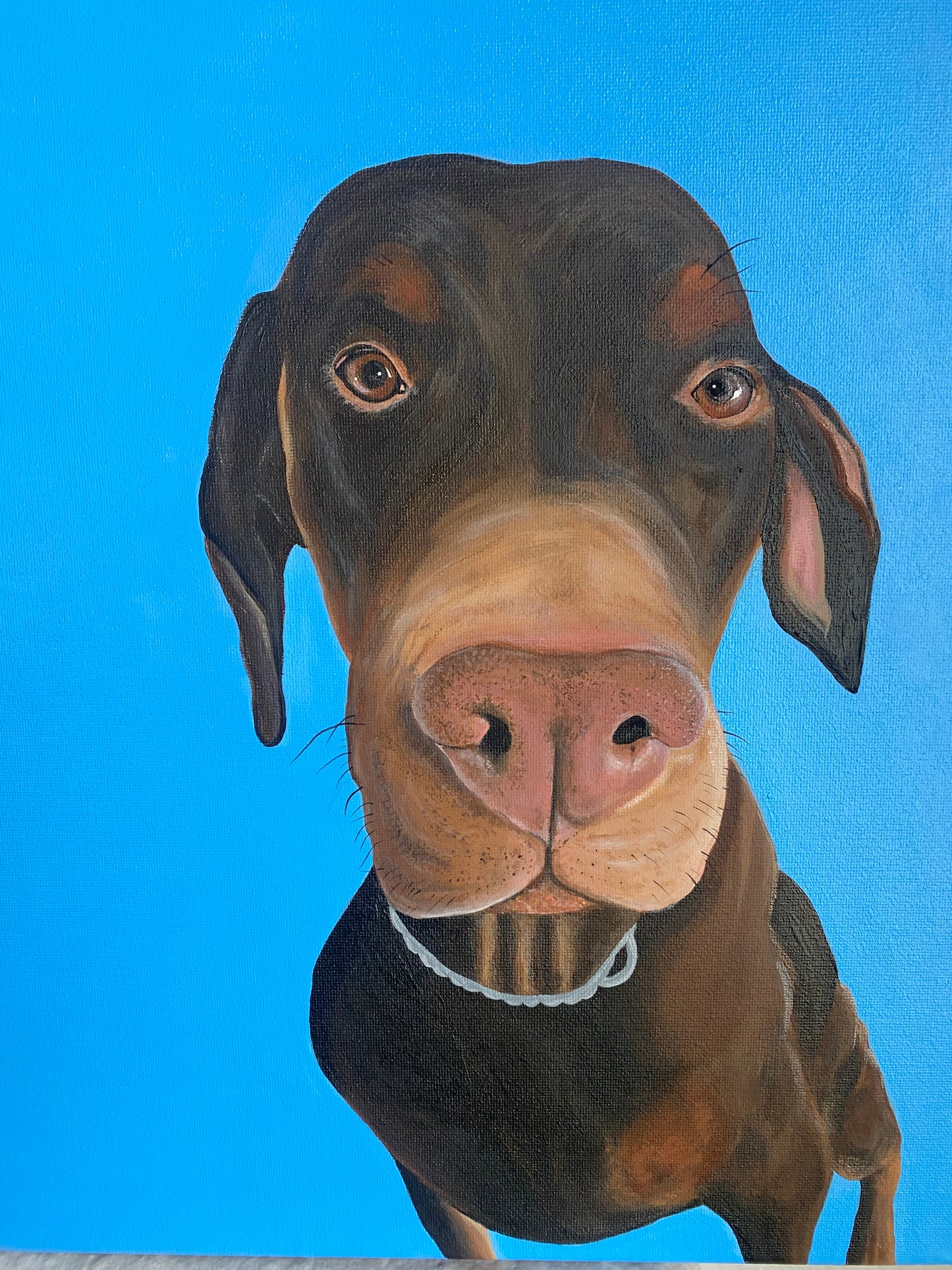 Custom Pet Portraits - Original Artwork by Amy Watt