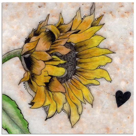 Sunflower on Stone - Aluminum Print