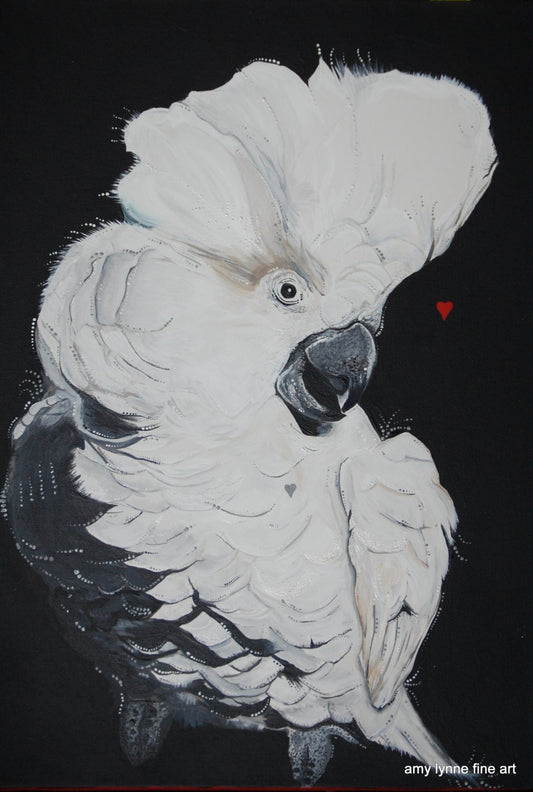 Cockatoo in Love - Canvas Print (or original) Original Artwork by Amy Baffa