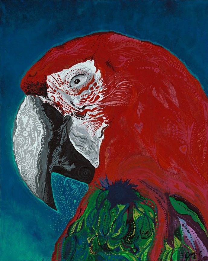 Kelly's Parrot - Canvas Print Original Artwork by Amy Watt