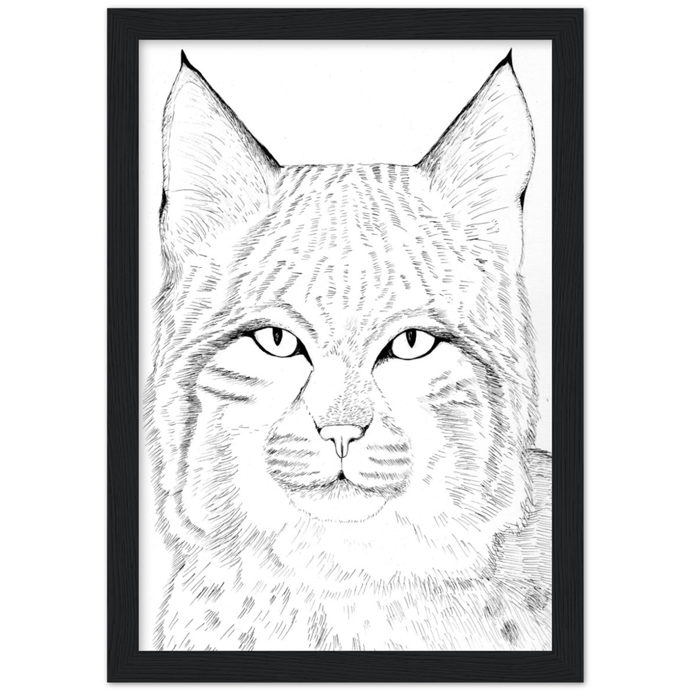 Arizona Bobcat - Classic Matte Paper Wooden Framed Poster Print