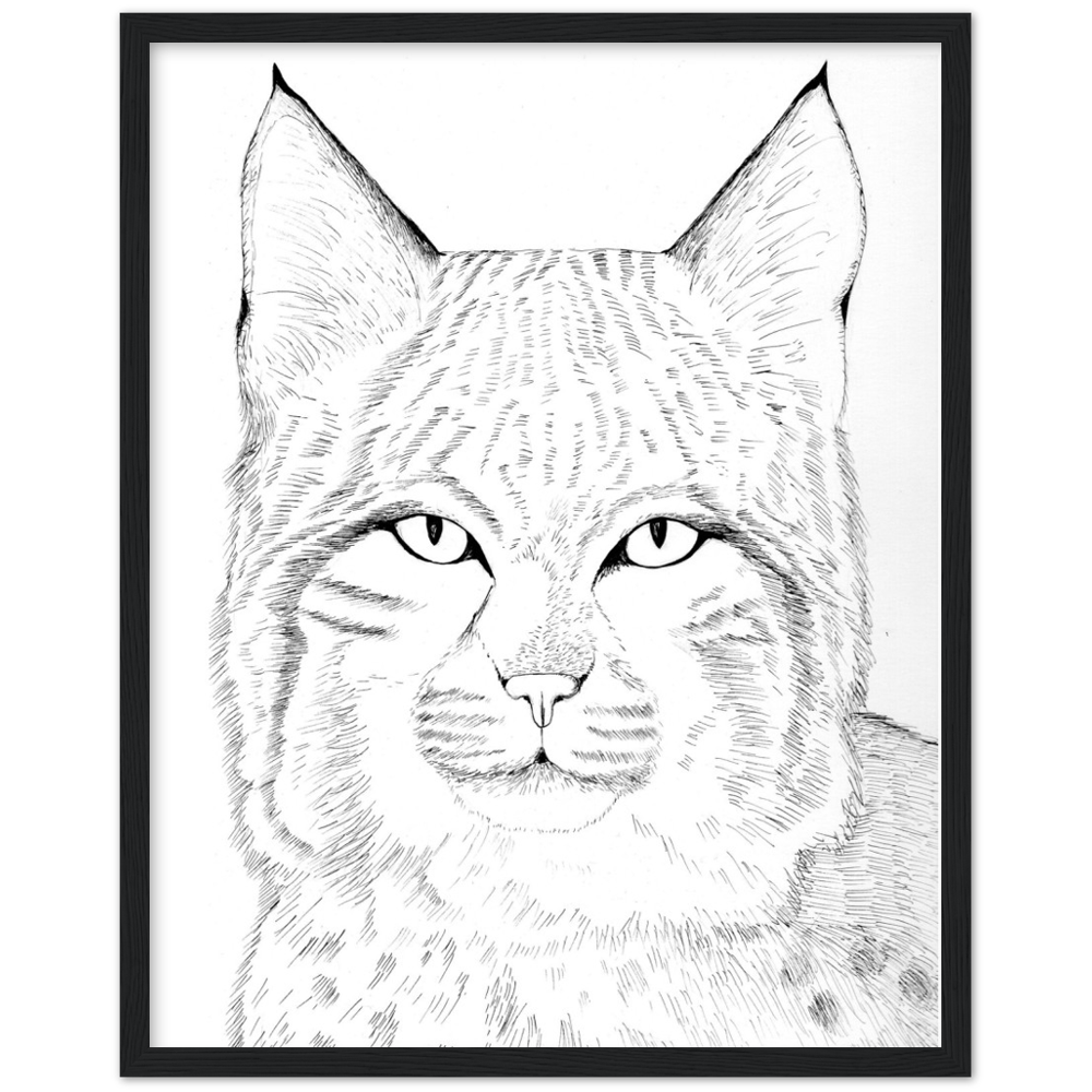 Arizona Bobcat - Classic Matte Paper Wooden Framed Poster Print