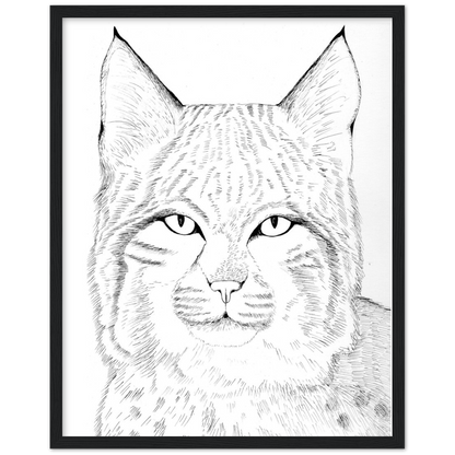 Arizona Bobcat - Classic Matte Paper Wooden Framed Poster Print