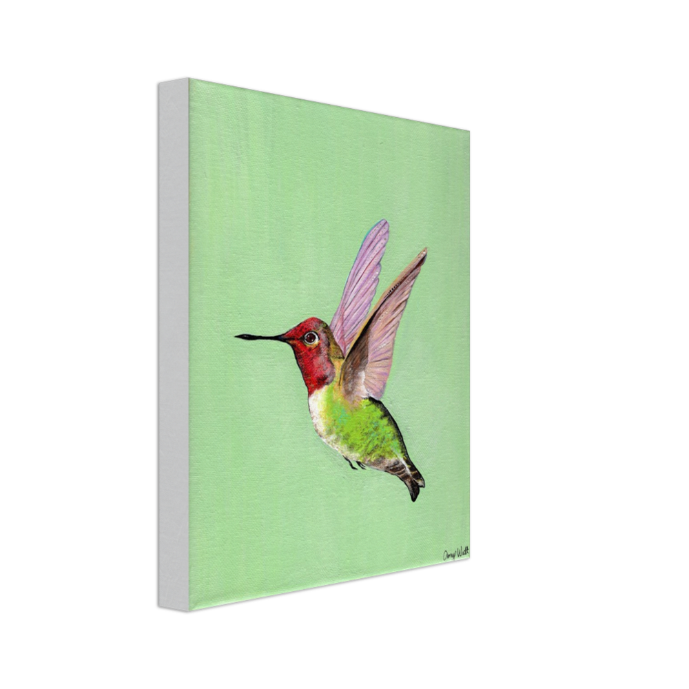 Hummingbird Canvas Print - Original Artwork by Amy Watt