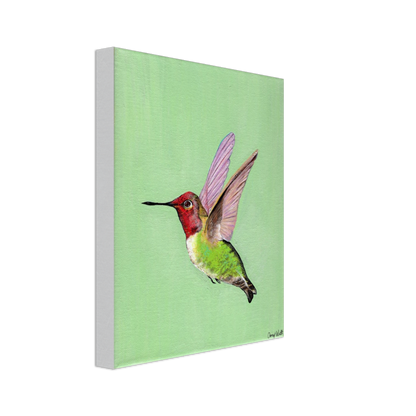 Hummingbird Canvas Print - Original Artwork by Amy Watt