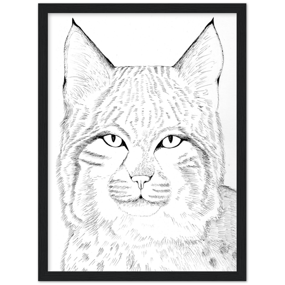 Arizona Bobcat - Classic Matte Paper Wooden Framed Poster Print