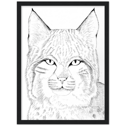 Arizona Bobcat - Classic Matte Paper Wooden Framed Poster Print