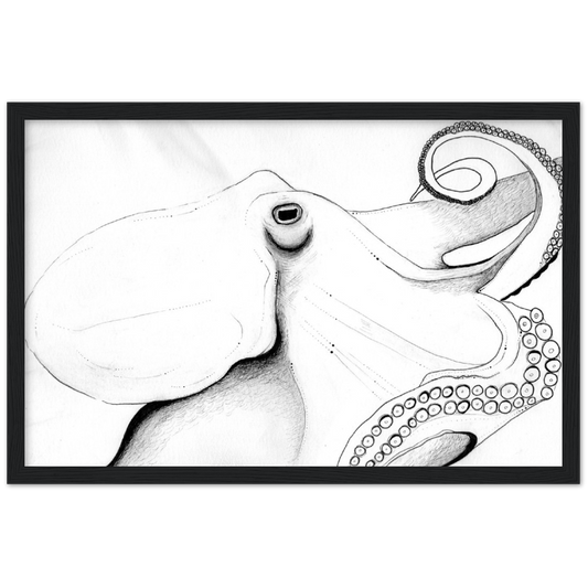 Octopus Drawing Classic Matte Paper Wooden Framed Poster