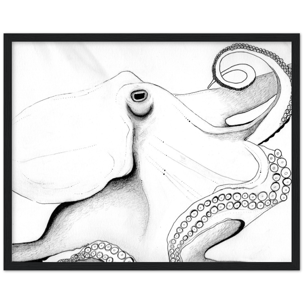 Octopus Drawing Classic Matte Paper Wooden Framed Poster