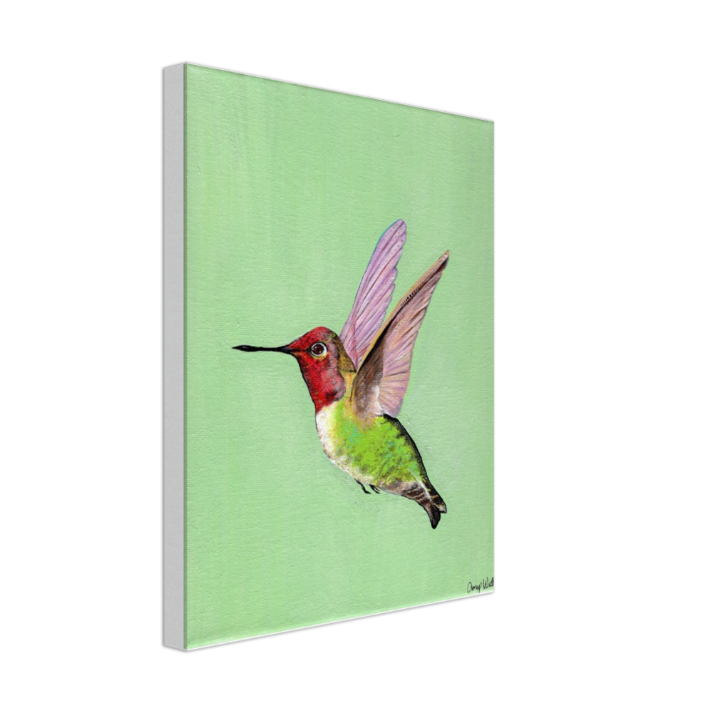 Hummingbird Canvas Print - Original Artwork by Amy Watt