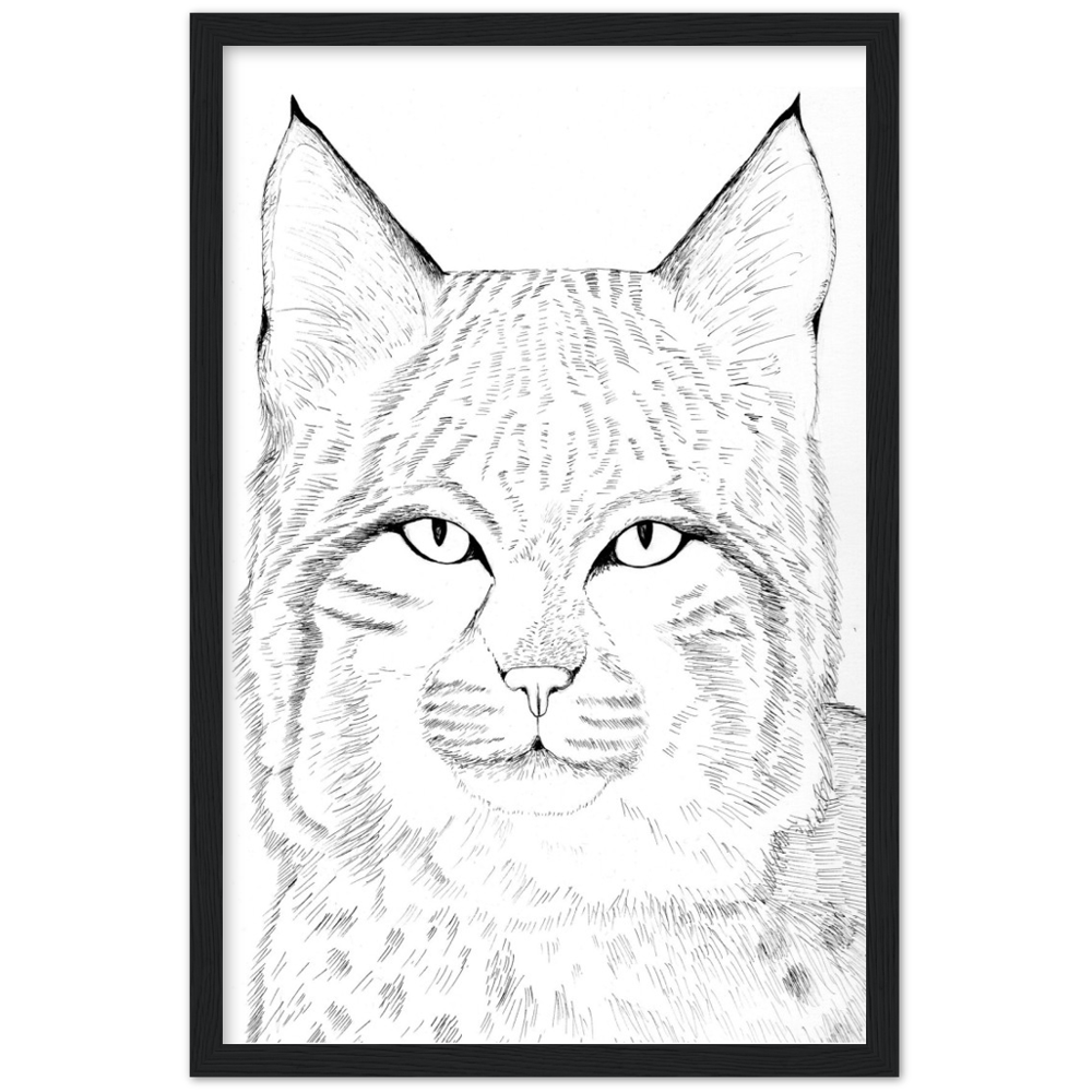 Arizona Bobcat - Classic Matte Paper Wooden Framed Poster Print