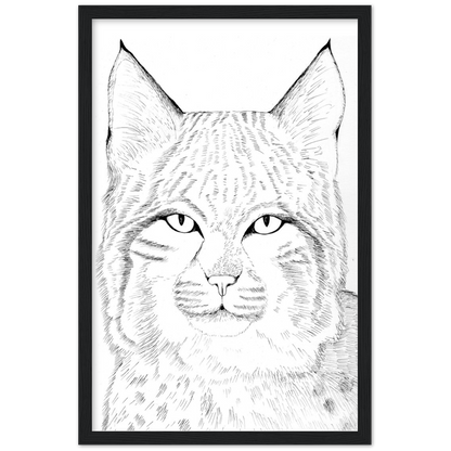 Arizona Bobcat - Classic Matte Paper Wooden Framed Poster Print