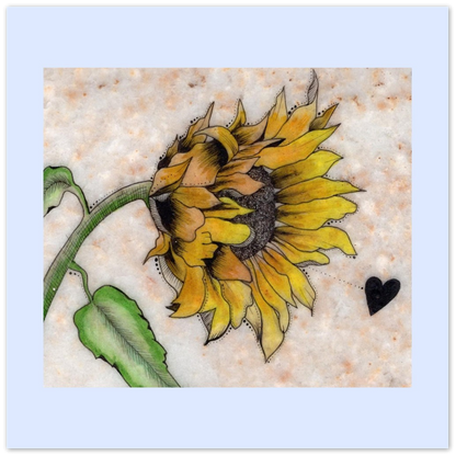 Sunflower on Stone - Aluminum Print