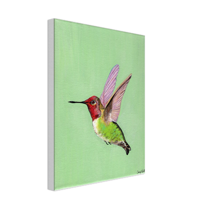 Hummingbird Canvas Print - Original Artwork by Amy Watt