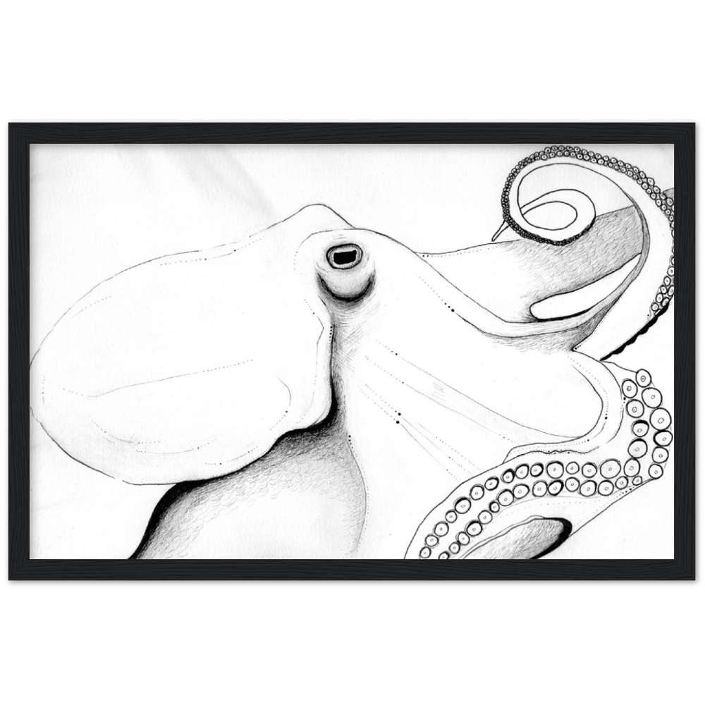 Octopus Drawing Classic Matte Paper Wooden Framed Poster