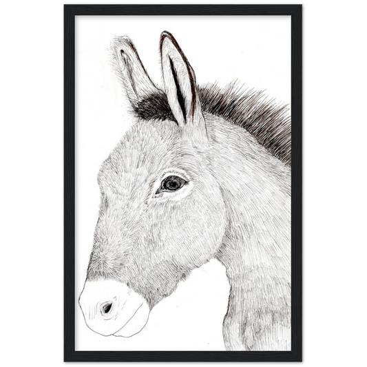 Arizona Burro - Classic Matte Paper Wooden Framed Poster Print