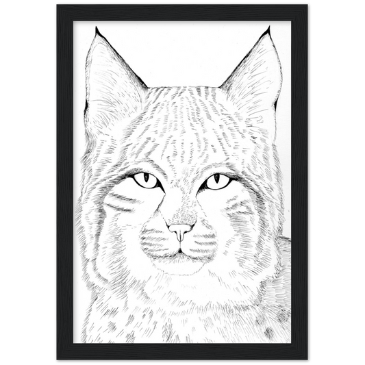 Arizona Bobcat - Classic Matte Paper Wooden Framed Poster Print