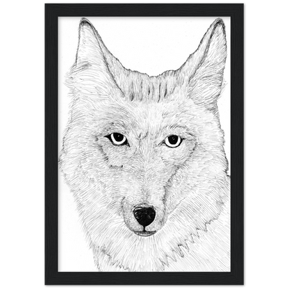 Wiley Coyote - Classic Matte Paper Wooden Framed Poster